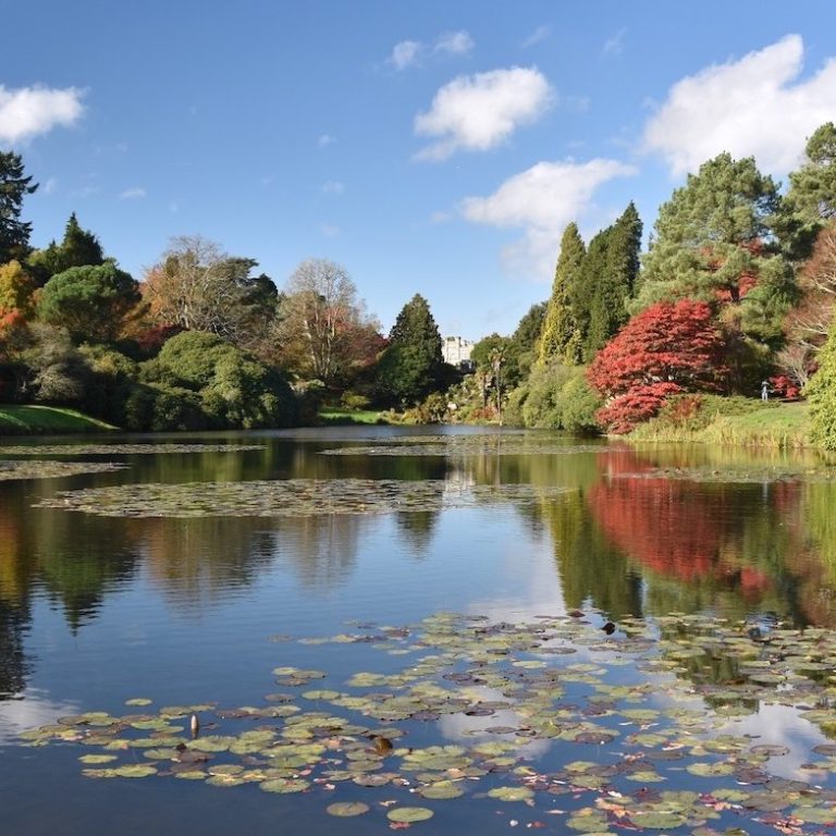 Reflections on the water at Sheffield Park near Haywards Heath